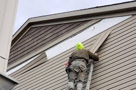 Best Siding Painting and Refinishing  in Wells Branch, TX